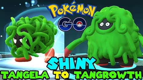 Evolving SHINY TANGELA to SHINY TANGROWTH in Pokemon Go Fest 2020 - YouTube