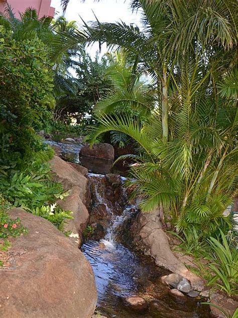 Kahana Falls - Photo Gallery ... The hotel :) (With images) | Maui, Tropical escape, Kahana village