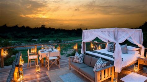 Safari Honeymoon in Africa | Blog | Wild Safari Guide