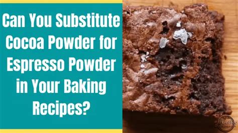 Can I Substitute Cocoa Powder for Espresso Powder - Here are 6 Best Substitutes for Espresso ...