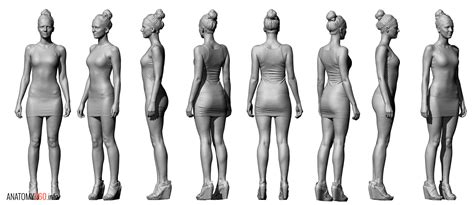 Back Muscles Anatomy Female Human Male And Female Ana - vrogue.co