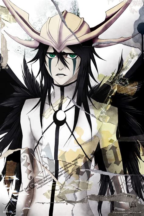 Ulquiorra Schiffer Vs Ichigo