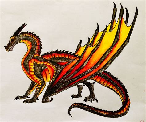 Raptor the SkyWing NightWing hybrid | Wings of Fire Fanon Wiki | Fandom