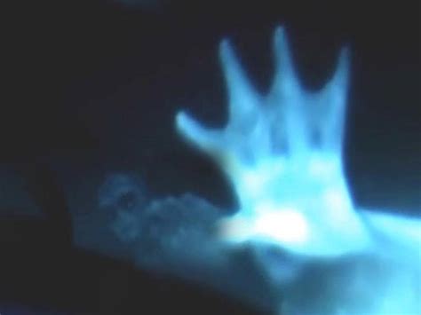 Mermaids Are Real Video Watch short video mermaid