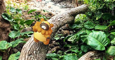 Praise Be, Shiny Bidoof Is Coming To Pokemon Go