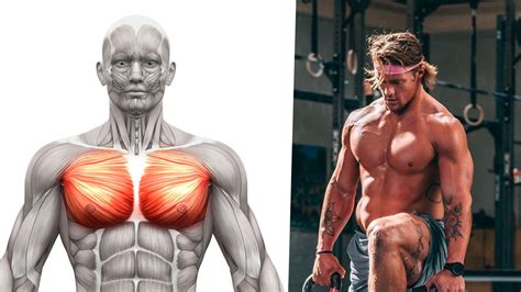 STOP BENCH PRESSING! 3 Chest Exercises Even Better For Chest Gains | BOXROX