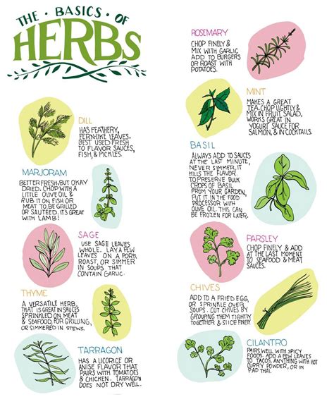 Printable Medicinal Herb Chart