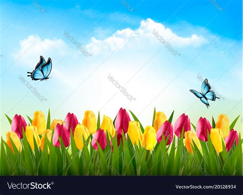 Nature background with green grass flowers Vector Image