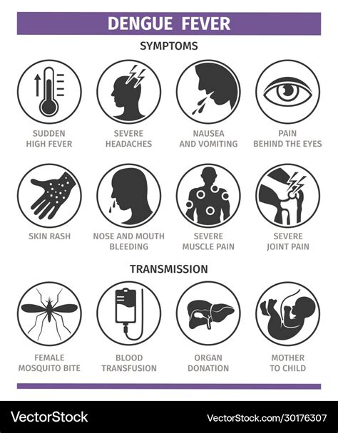 Symptoms and transmission dengue fever Royalty Free Vector