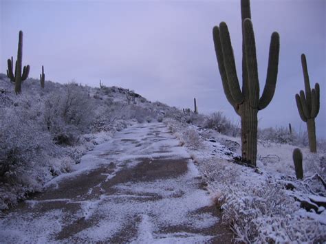 Tumamoc in the snow | Just before sunrise on Tumamoc Hill, T… | Flickr