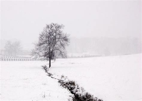 Winter Tree | A tree in winter. | Duane Tate | Flickr