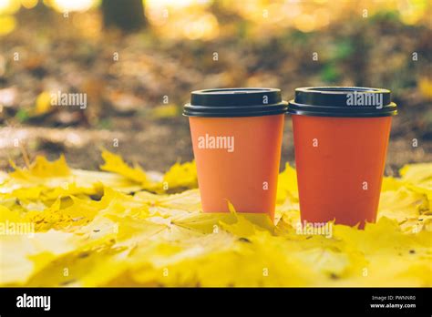 Coffee take away cups in an autumn foliage. Outdoor coffee. Autumn picnic background Stock Photo ...