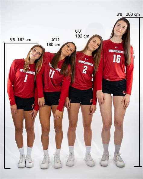 Wisconsin Volleyball Team Height Comparison by Cloverfield12 on DeviantArt