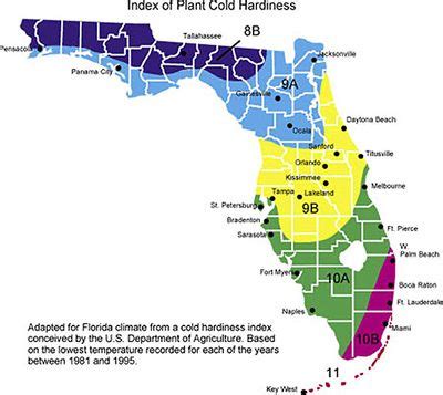 Plant Hardiness map of Florida | Map of florida, Florida, Florida gardening