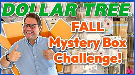 Dollar Tree DIYS! (Shocking Mystery Box Challenge) - YouTube in 2022 ...