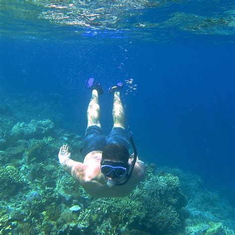 Reef Dive: Island hopping and snorkeling day in Coron, Philippines ...