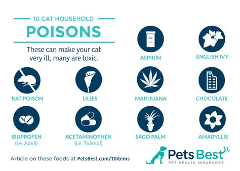 10 Cat Household Poisons