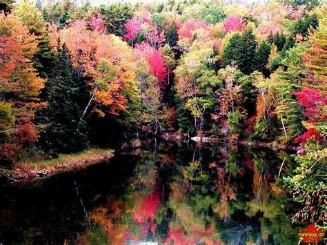 🔥 [50+] Maine Fall Foliage Wallpapers | WallpaperSafari