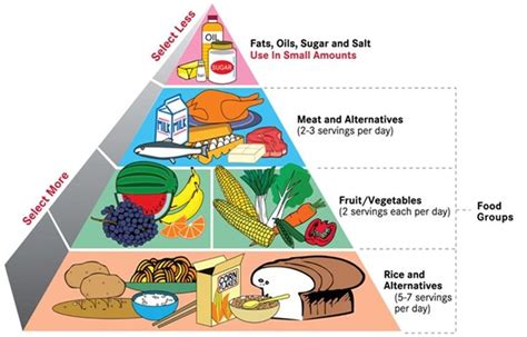 Balanced+Diet+Food+Pyramid | Balanced diet chart, Womens health magazine, Health trends