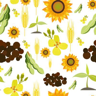 Agriculture Background Vector Art, Icons, and Graphics for Free Download