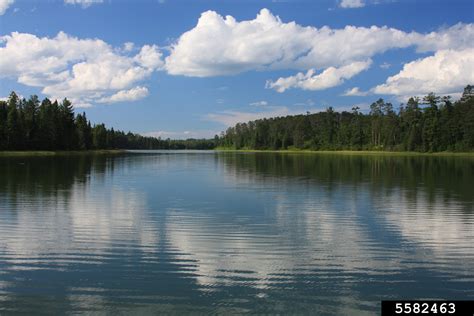 lakes and ponds, (Freshwater biomes: Miscellaneous Lakes and Ponds ...