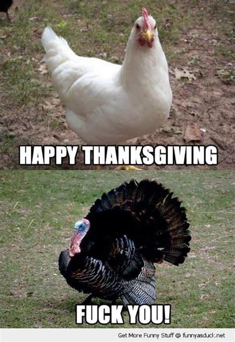 50 Funny Thanksgiving Memes To Make You Laugh Like A Real Turkey | Funny thanksgiving pictures ...