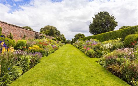 Border Gardening: How to plant a herbaceous perennial border