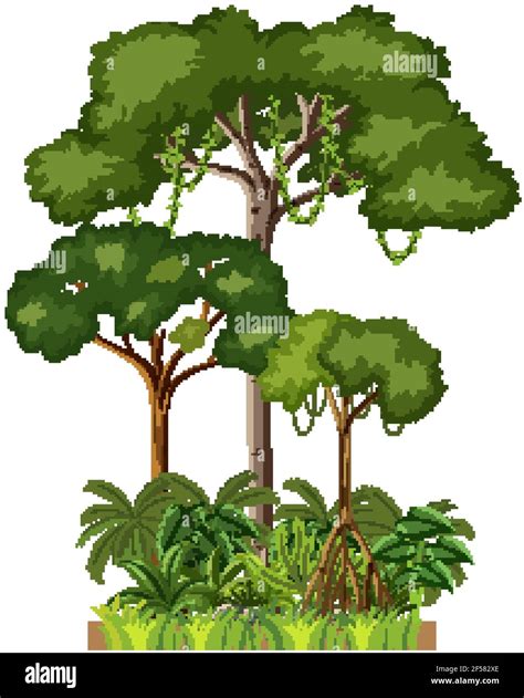 Rainforest Clipart Background