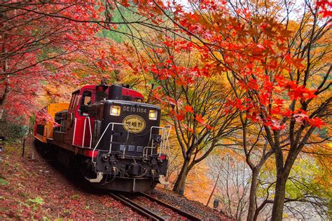 Sagano Romantic Train For Autumn in Arashiyama Half Day Tour - KKday