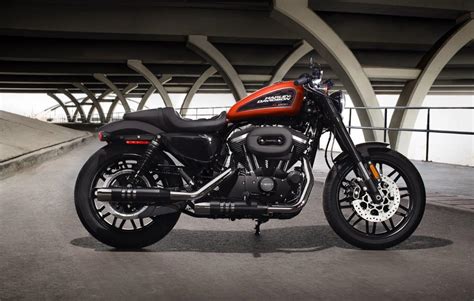 Top nhiều hơn 89 harley davidson 1200 roadster không thể bỏ qua - Eteachers