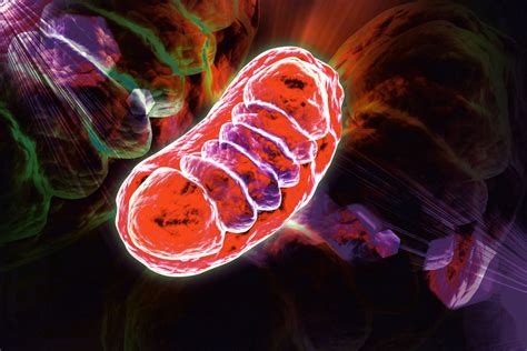 Primary mitochondrial disease – Abliva