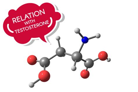 D Aspartic Acid (DAA) Testosterone - Benefits, Dosage & Side Effects!