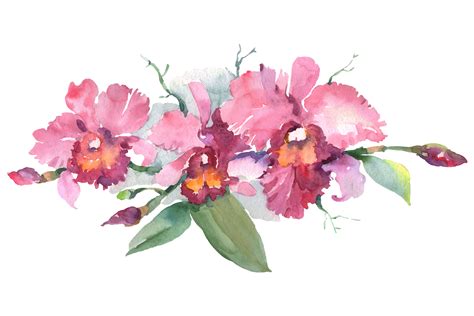 Branch of pink orchids watercolor png (240902) | Illustrations | Design Bundles