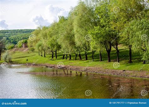 Beautiful Spring Landscape in Republic of Moldova. Green Landscape ...