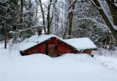 Snowed in wooden hut at forest, finland free image download