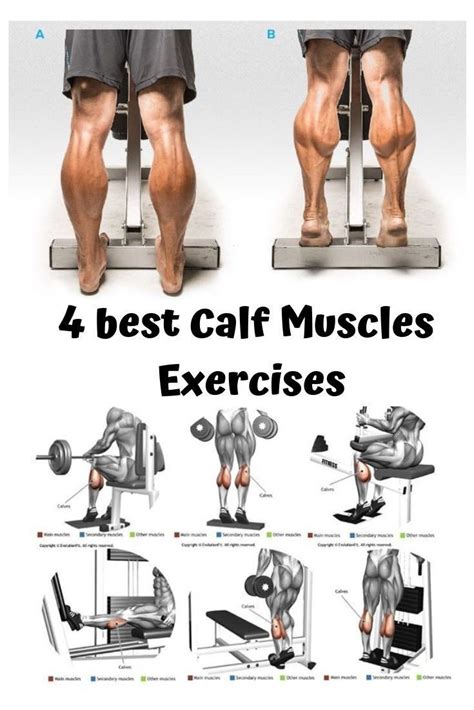 Pin by Ahammad Tausif Mayeen on Fitness | Calf muscle workout, Gym workouts for men, Leg ...