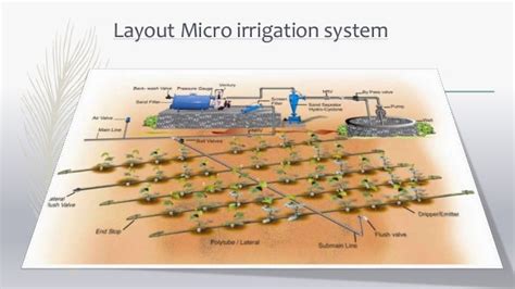 micro irrigation design detail ppt