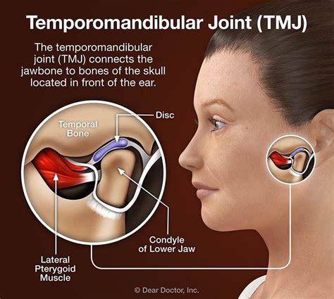 TMJ Disorders | Chiropractor In Calumet City, IL | ES3 Fitness Rehab