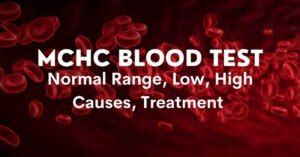 MCHC Blood Test: High, Low, Causes, Treatments – DoctorOnHealth