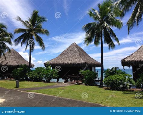 Resort in Papeete stock photo. Image of plant, hotel - 40130284