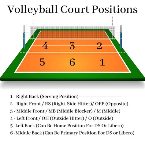 Girls Volleyball Positions: VB Player Positions + Numbered Court ...