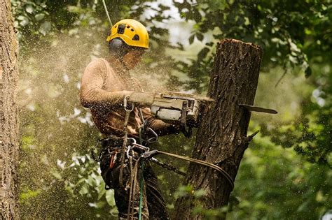 Top 50 Best Outdoor Jobs For Outdoorsmen - Careers Outside Of The Office