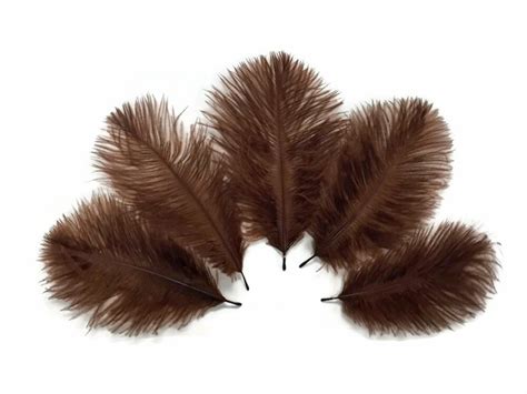 Mini Feathers 1 Pack Brown Ostrich Small Confetti Feathers | Etsy