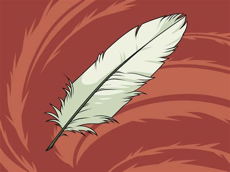 How to Draw a Feather: 8 Steps (with Pictures) - wikiHow