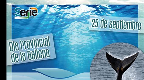 Efeméride 25 de septiembre – Día Provincial de la Ballena – Chubut ...