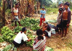 Fact Sheet Philippines – Women in agriculture, environment and rural production