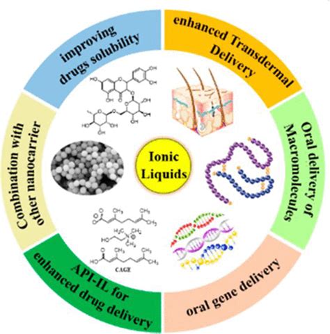 Ionic Liquids for Enhanced Drug Delivery: Recent Progress and Prevailing Challenges | Molecular ...