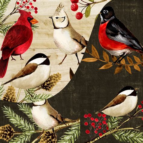 Winter Birds Illustrations – MasterBundles