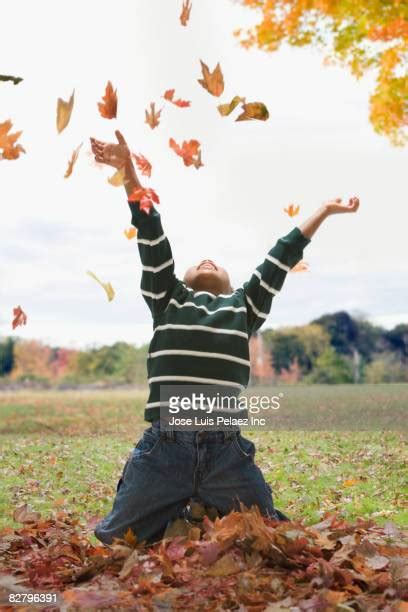 2,767 Children Throwing Leaves Stock Photos, High-Res Pictures, and ...