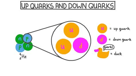 Lesson Video: Quarks Up e Quarks Down | Nagwa